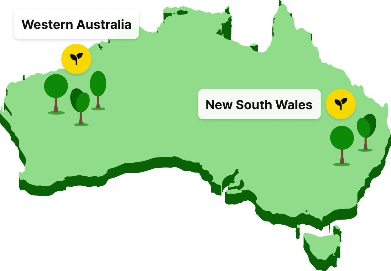 Tree Funding Regions